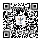 j9国际集团 Vision Plus Capital